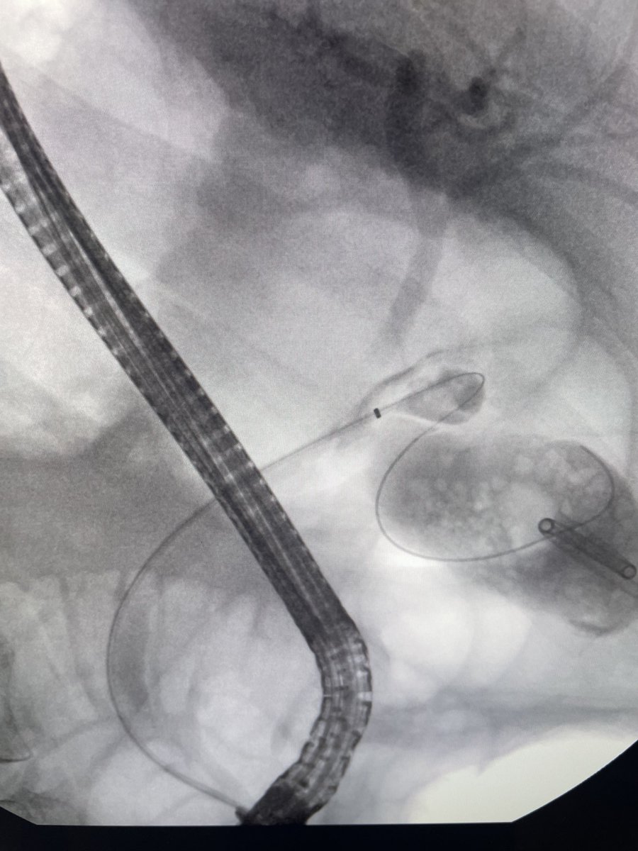 Douglas G. Adler MD, FASGE, FACG, AGAF tweet media