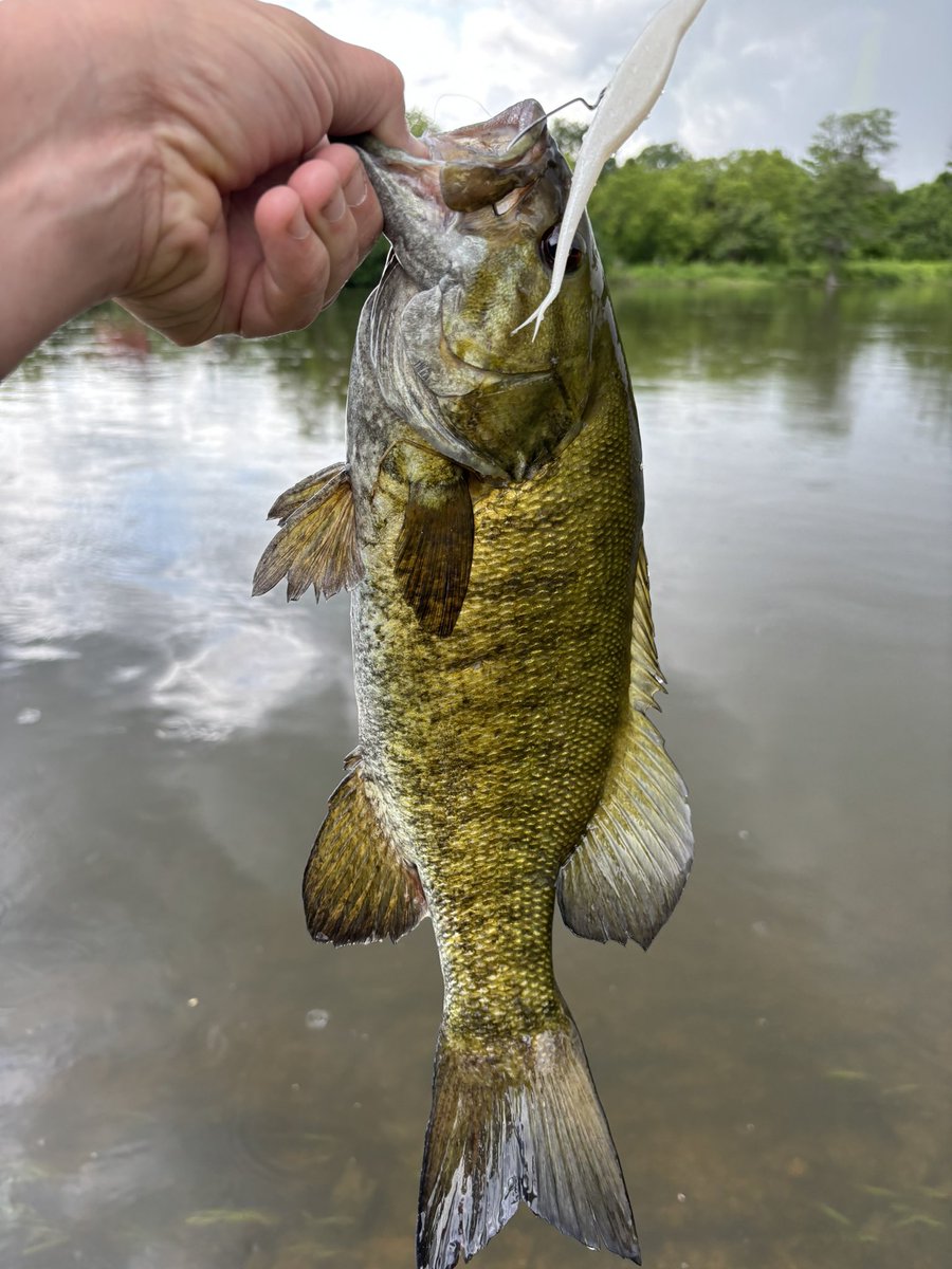 Mike Graham tweet media