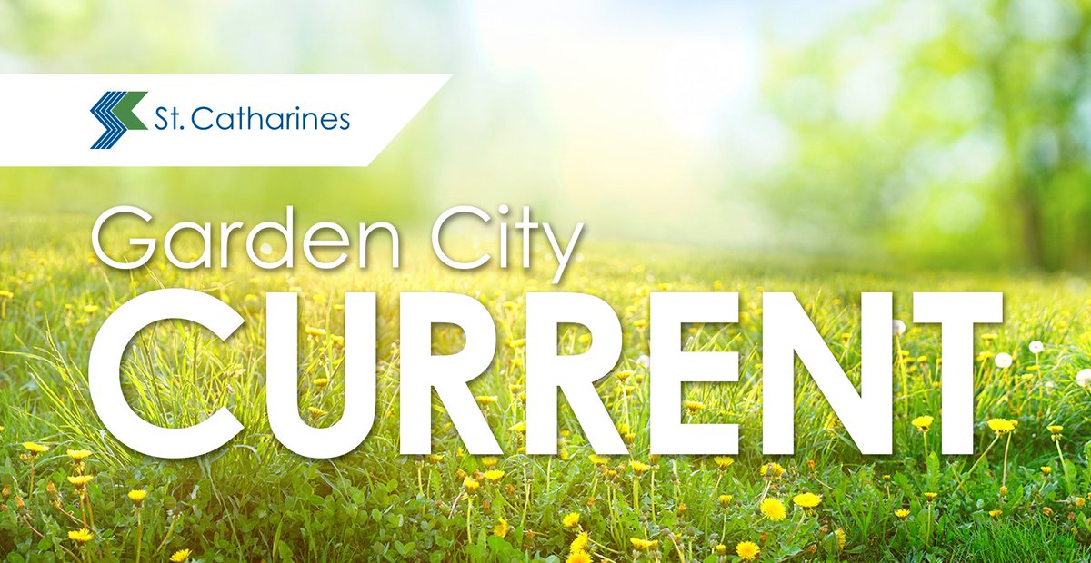 Lots of great information in this week's Garden City Current e-newsletter: 📑 City Council recap 🌊 Highlighting the approved Waterfront Access Master Plan 🏫 Downtown Heritage Conservation District Task Force created ✅ Read this edition and subscribe ➡️ stcatharines.ca/current