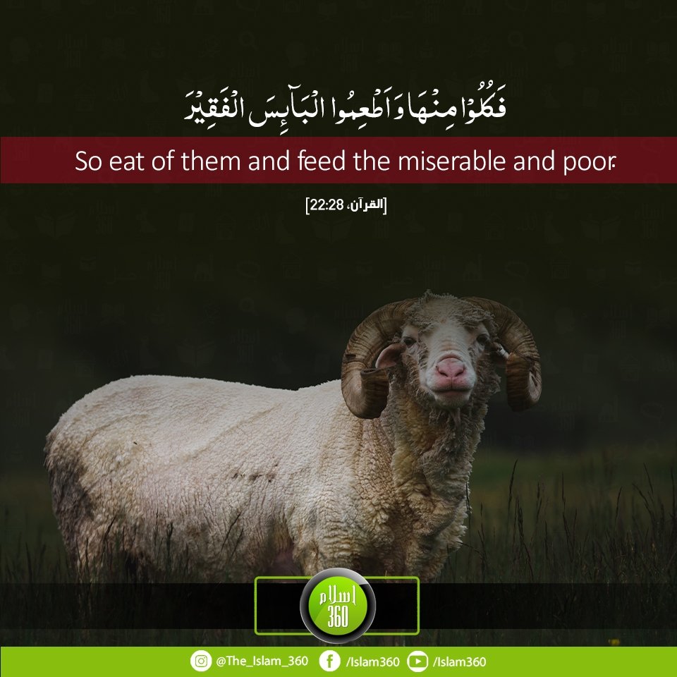 alphablockers1's tweet photo. صباح الخیر https://t.co/aOhXaUoI13