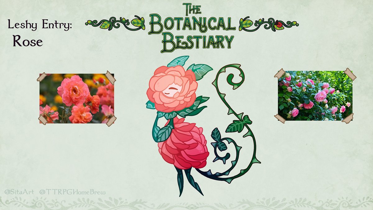 ✨The Botanical Bestiary - friend or foe leshy

Sugar maple, sugar cane, petrified wood, rose