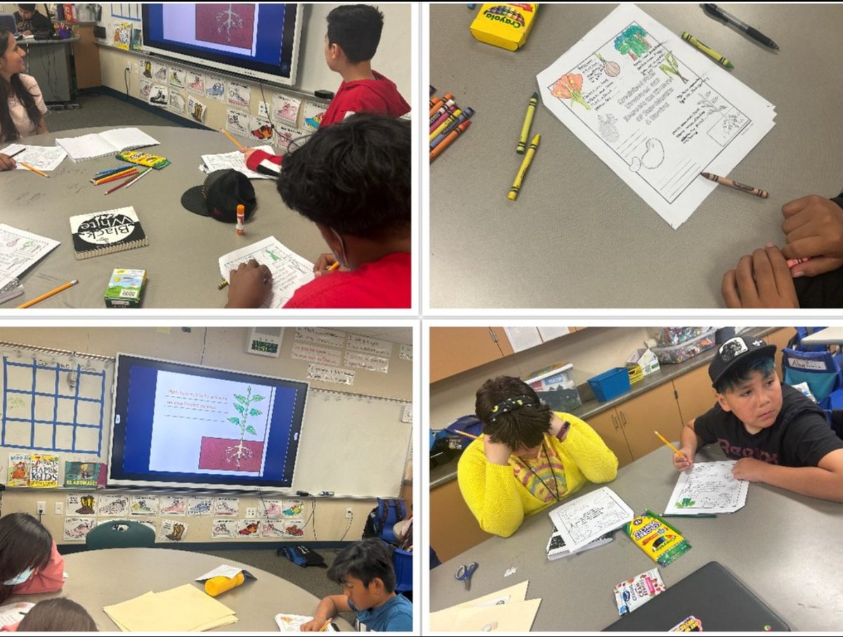 Our 6th grade students are always intrigued to learn more and truly enjoy exploring their curiosity. Recently in class, they learned about plant roots, the variety of plants and how to care for them.@VistaVerdeGrizz @ASA_PolarBears@marychapagusd@OakBrownBears @GUSDEdServices