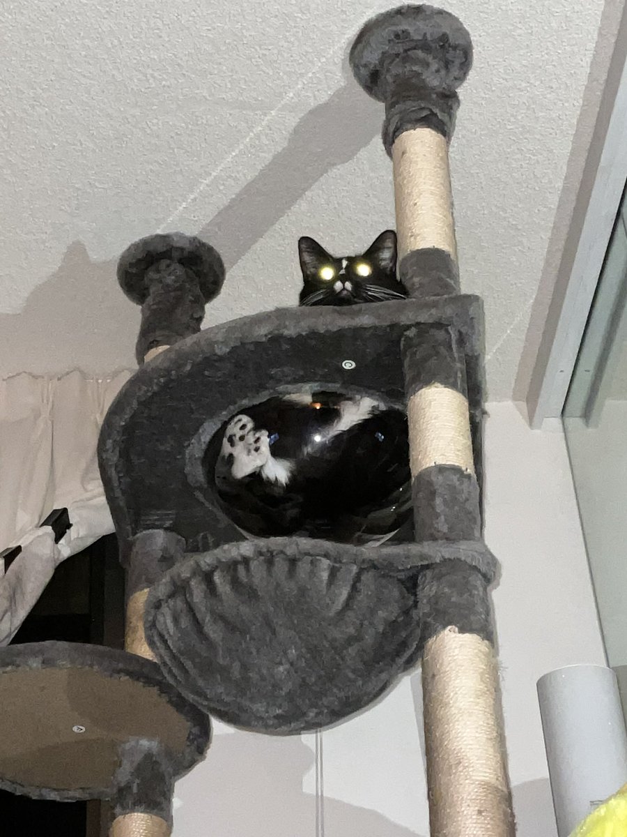 I actually took a pic with the flash on and it made me laugh so much