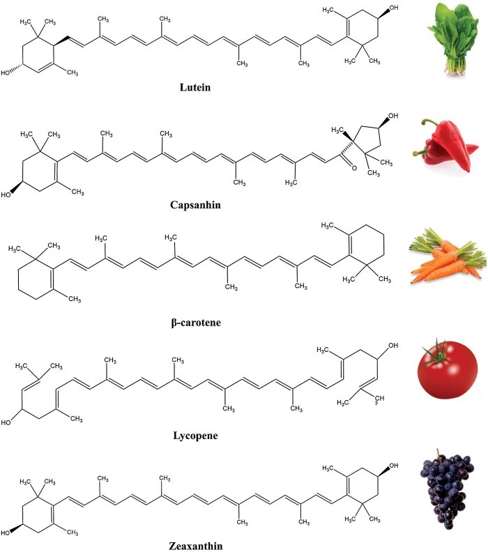 ขออนุญาต รียูสชุดความรู้สมัยคุณแม่นะฮะ

คือในผักสีเหลืองเนี่ย...มันมี carotinoid ซึ่งตัวสุดจัดในรุ่นเลยเนี่ยคือ  bata-carotene เป็น antioxidant ตัวหนึ่ง ซึ่งก็ช่วยเรื่องผิว พรรณ และดูแลเซลล์เราจากแสงแดด และอนุมูลอิสระใด ๆ ที่เกิดขึ้นในร่างกายอะเนาะ..