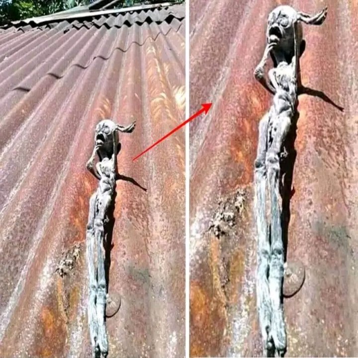 Alien found on the roof of a house.
.
.
.
.
#AlienEncounters #AncientMysteries