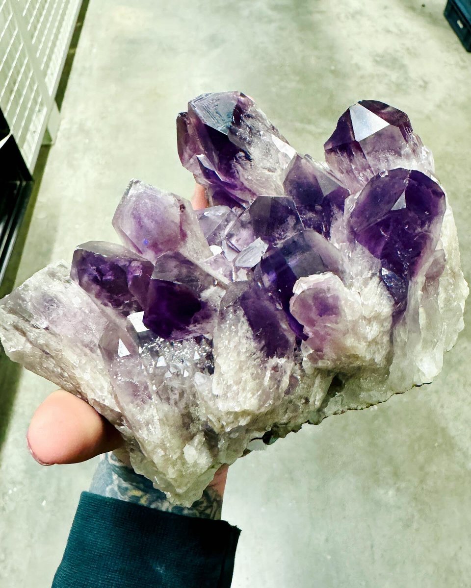 Hello, my hair is now matching this gorgeous amethyst from Brazil. I’m also super excited to have started a new job as Curator of Mineralogy & Petrology at The Hunterian, where this sample is held 💜🖤 #DyingMyHairToMatchRocks