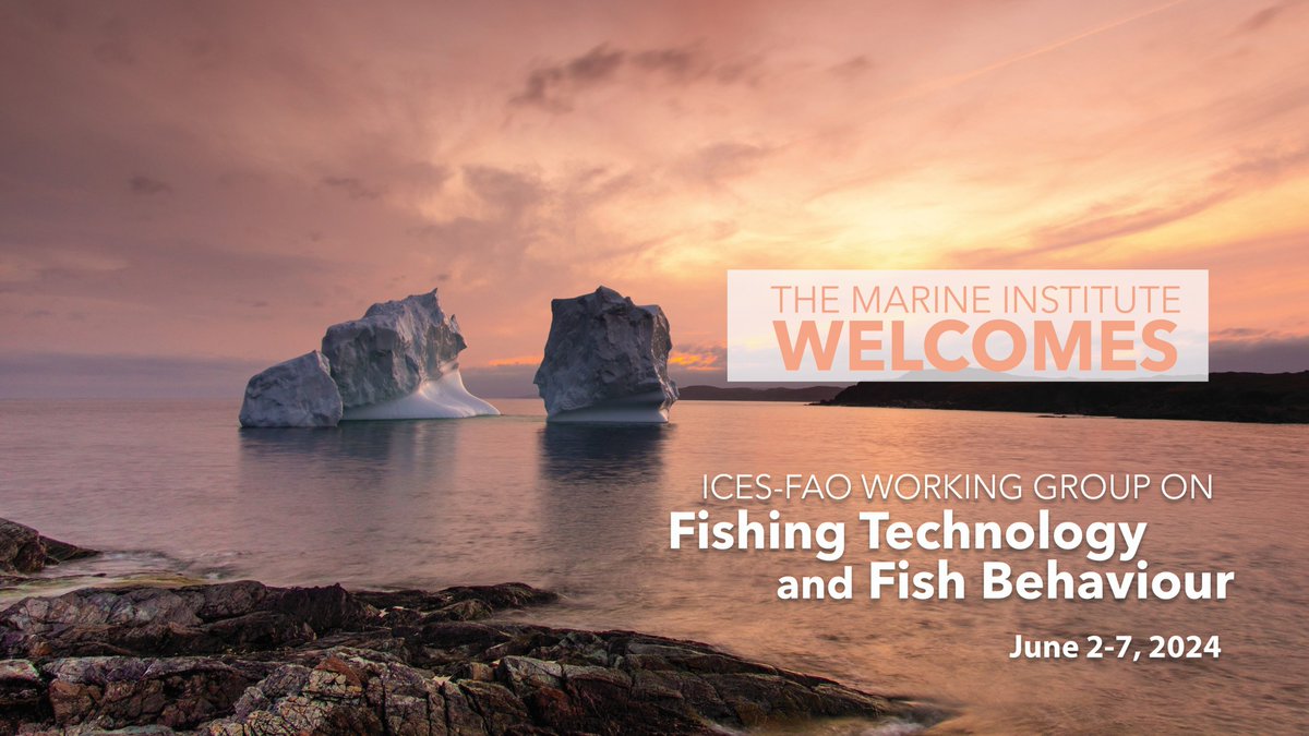 Paul Winger (@wingerpaul) on Twitter photo 