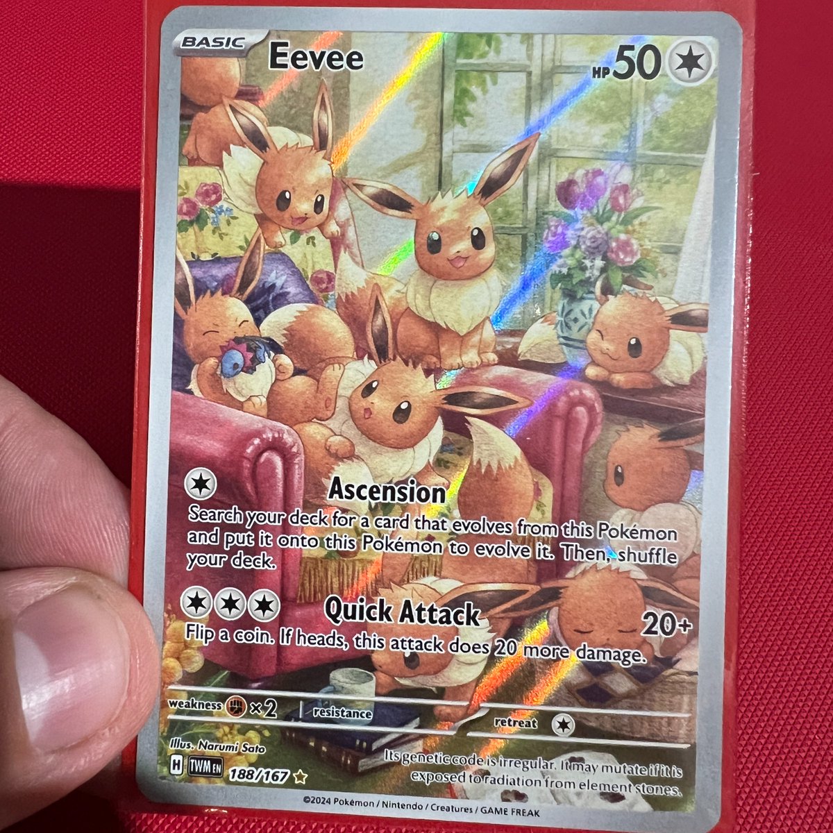 Eevees.... That's the tweet!