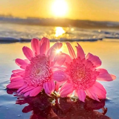 emikoamane's tweet photo. #新しいプロフィール画像 https://t.co/UZFPUZ4o9F