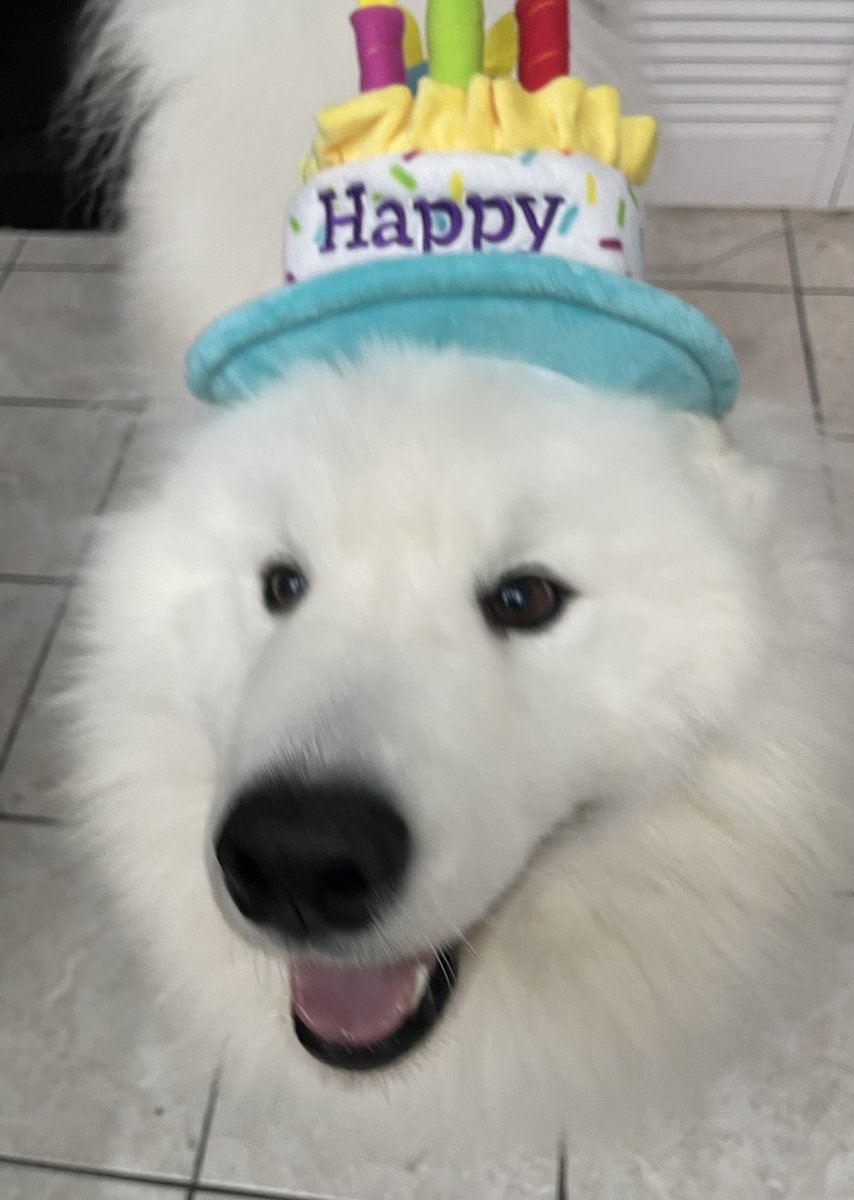 wayneradiotv's tweet photo. happy 3rd birthday DOLBLY for your third year of life you get a hat that you hate a lot https://t.co/eQoFEBxUF8