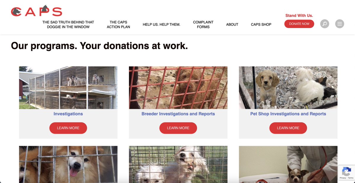 ScienceEnjoy3r's tweet photo. A counterargument that some people may have is "how do we know these organizations are actually doing anything with the money donated"? Well, CAPS has a section on their website that actually shows the different programs that donation money goes towards... #UCanimals https://t.co/IPT2jn8Abm