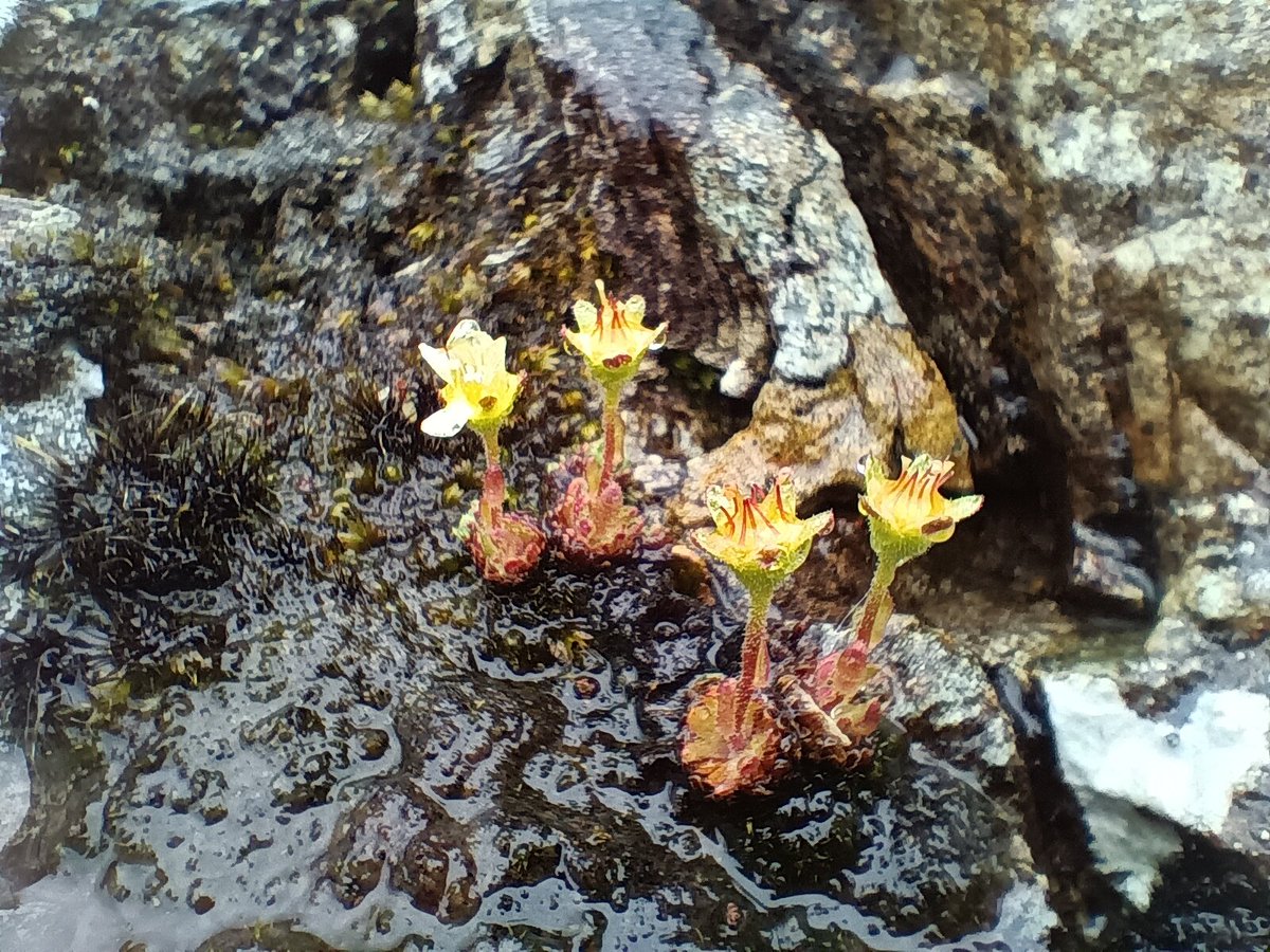 𝗗𝗮𝗻 𝗙𝗼𝘆 tweet media