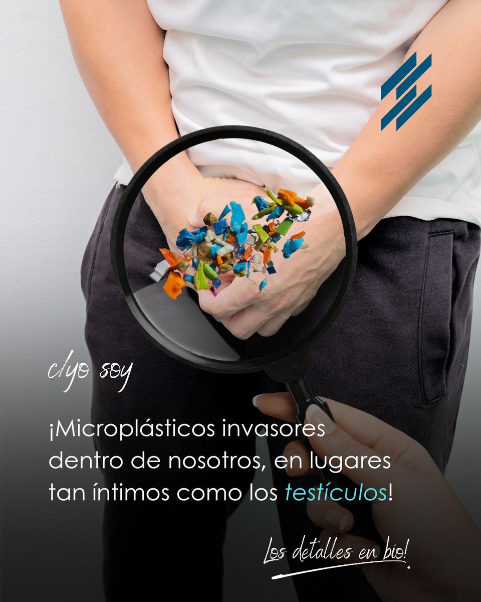 ¡Alarma en los testículos! Micro Plásticos amenazan a la fertilidad masculina. Científicos han encontrado diminutos invasores en testículos humanos. ¿Que significa esto ? Descubrelo en bio 👍🏻 
#microplasticos #CambioClimático #AmoryFuego #GodMorningTuesday