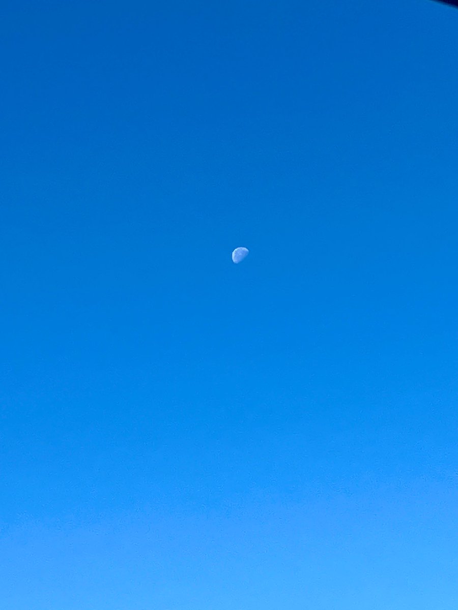 皆様おはよぉ〜 昨日とは一転 朝から気持ちの良い青空 月🌙も微かに見える さて今日は 箱入り郷敦でも探しに行ってみようかな〜あるといいな🥰 皆様良き一日を……🍀✨