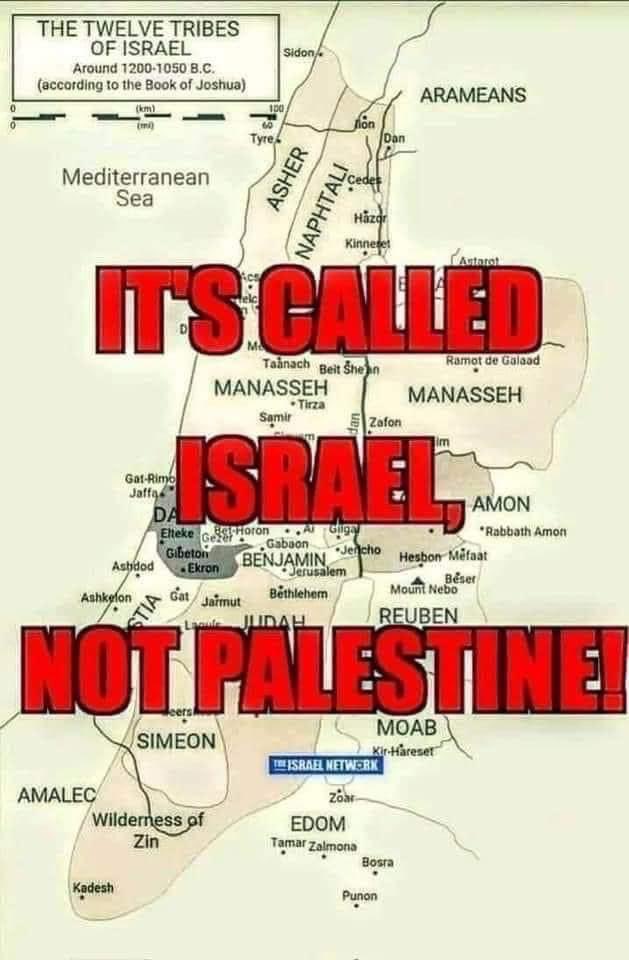 Hamas bot hives were sent over en masse to troll my posts. So here is a reminder to them: It's called ISRAEL, not Palestine. Am Yisrael Chai. Carry on. 💙🇮🇱