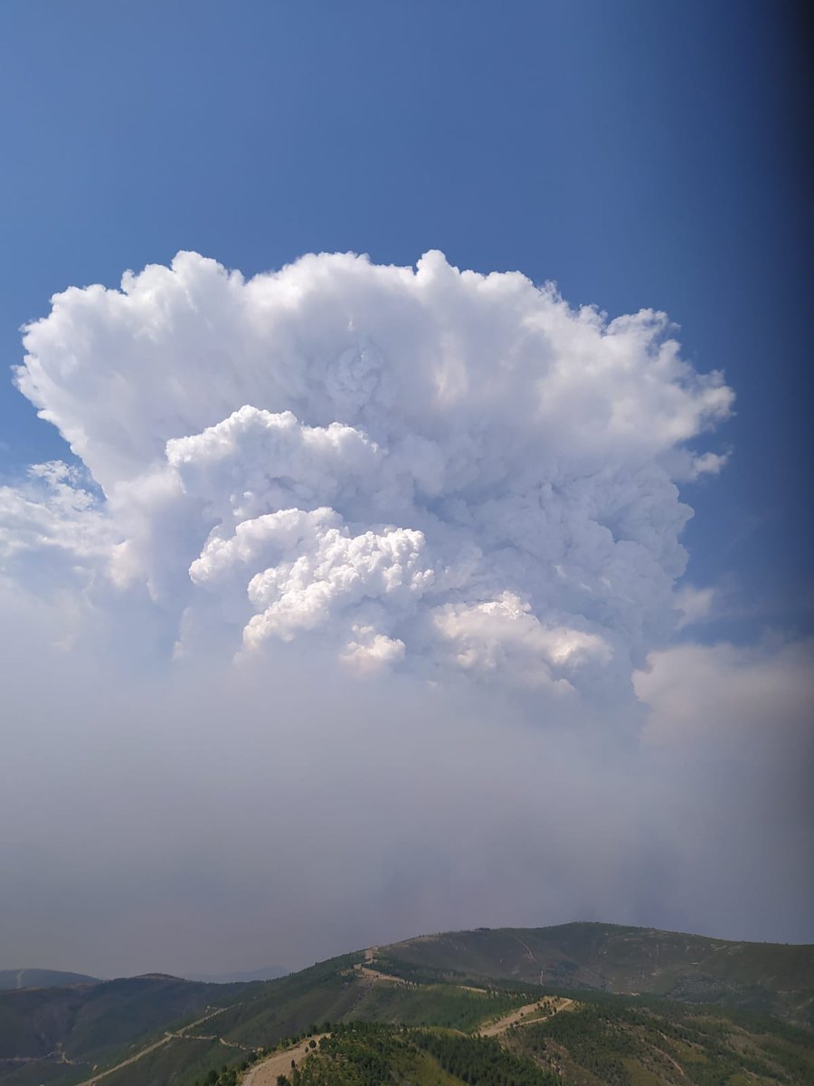 WildlandFirefig's tweet image. Disponer de perfiles LIDAR (entre otros) de las formaciones de pirocúmulos y pirocumulonimbus #PyroCB en incendios forestales puede ser oro puro para analizar su comportamiento.