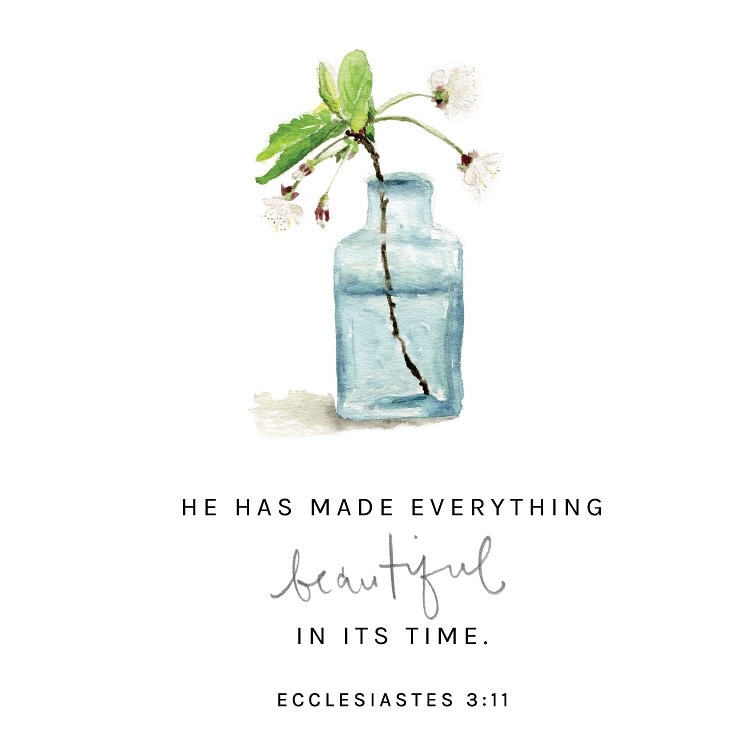graciapearl's tweet photo. #repost @emilylexstudio @downloader_
__
Truth for today. And always.
“He has made everything beautiful in its time.”
Ecclesiastes 3:11
#truthfortoday #memoryverse #verseoftheday #elstudio https://t.co/4sT2K4Fooi