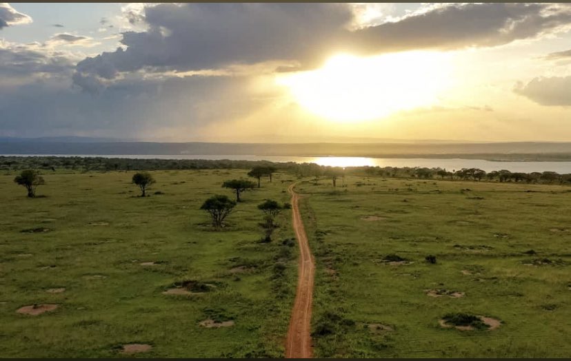 Good morning 

*Darkness cannot drive out darkness: only light can do that. Hate cannot drive out hate: only love can do that*.
Martin Luther King Jr.

Sending you all much much much positive energy this morning. 

#TourismandPeace
#MissTourismUganda
Can you guess the location?