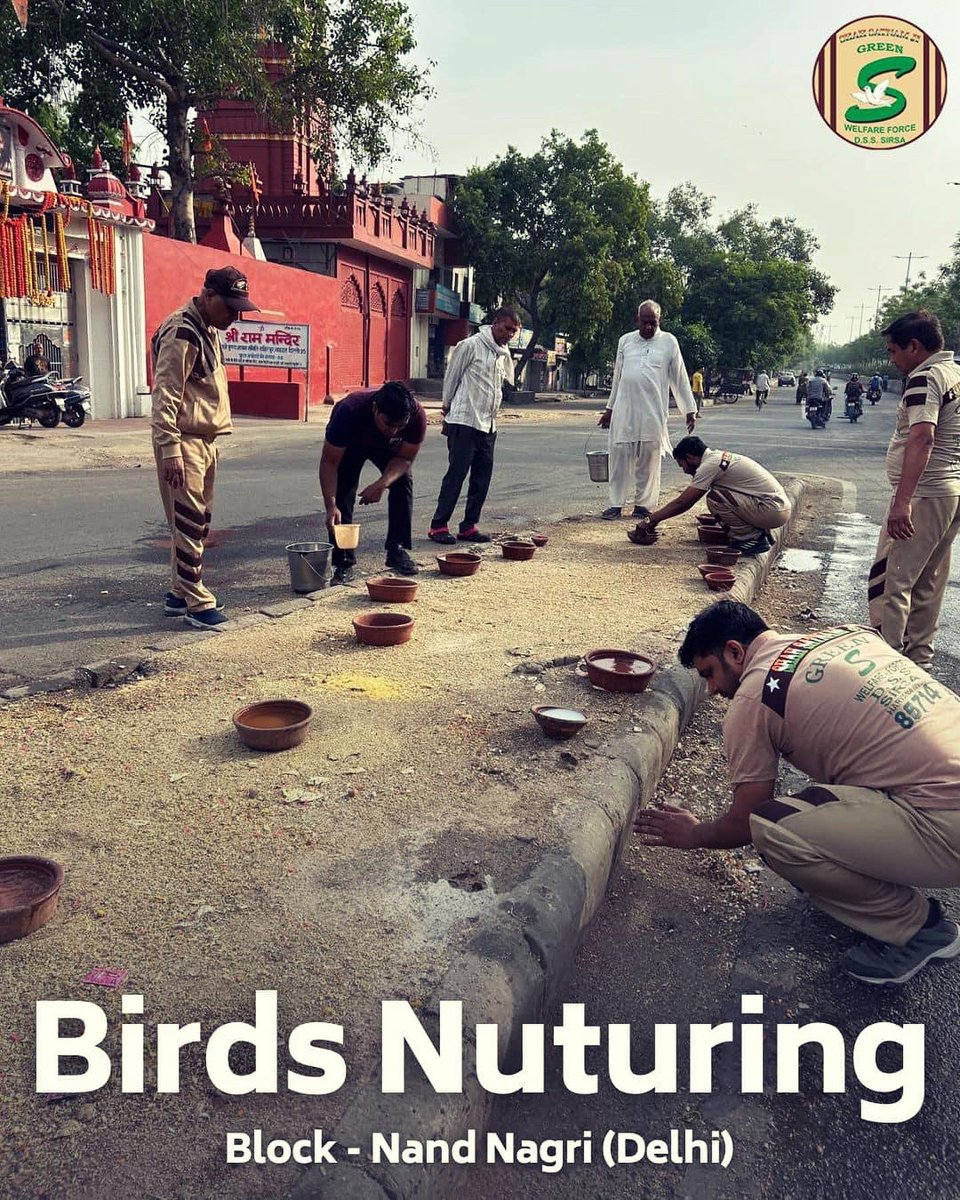 Volunteers even arrange bird houses at various spots in their respective places. These bird houses are hung near the pillars, trees, and in balconies. 
They even distribute bird feeding bowls for free so that other people can also use them. #BirdsNurturing 
#HelpBirdsInSummers