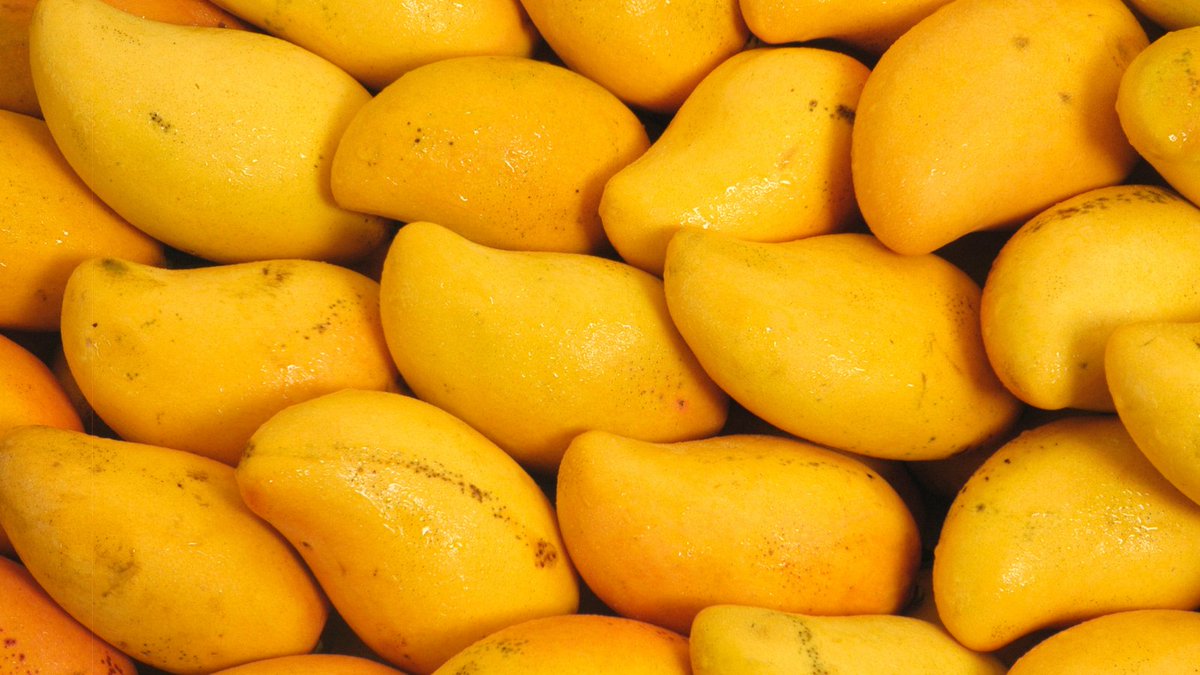 Should you eat mango if you have diabetes?
Click here to know - ow.ly/boGf50RYQev

#mango #mangobenefits #mangolovers #mangoforlife #diet #nutrition #THIPMedia