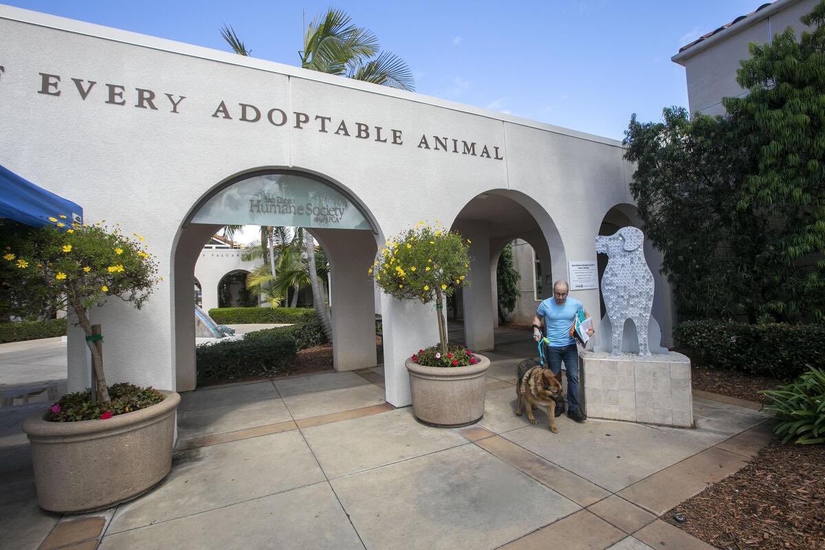 cailinlc's tweet photo. One of the most accessible ways to put an end to puppy mills is to support your local shelters. By focusing on adopting one of the many dogs in local shelters that need a home as well, this breaks the cycle of putting more money back into these facilities. #UCanimals https://t.co/BNLjVc8uQK