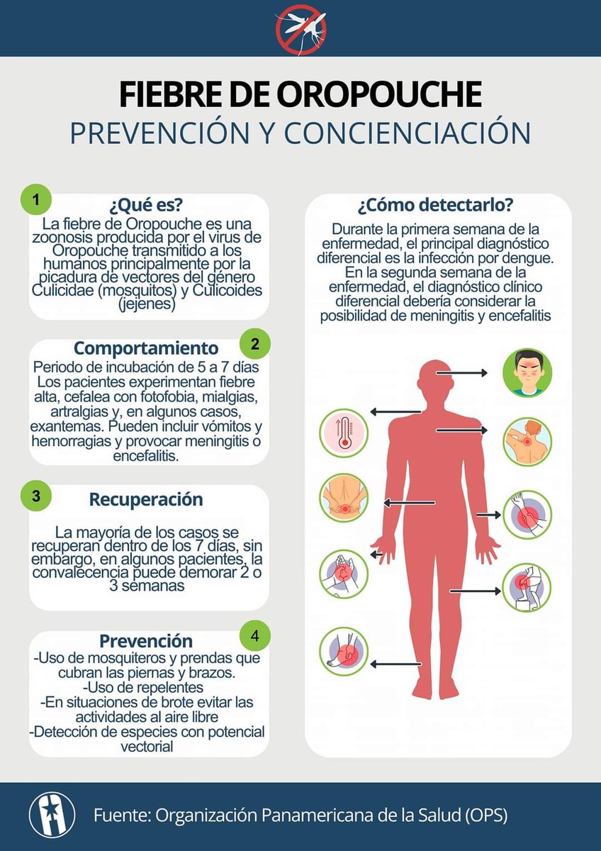 DPSCfgos's tweet photo. 📑#infografia | Fiebre de Oropuche: ¿cómo detectarla y prevenirla? 
Mas información acá 👉 https://t.co/d0oItVbxuE
#CubaPorLaVida 
#CubaEsSalud 
#CienfuegosXMásVictorias https://t.co/df3Ogq6O4D