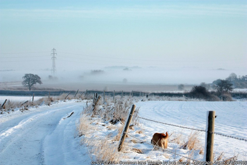 Picture of the Day from the #EastRiding of #Yorkshire, 2010 #Wawne #village #CommonLane #winter #snow #misty  geograph.org.uk/p/2568136 by Bob Mason