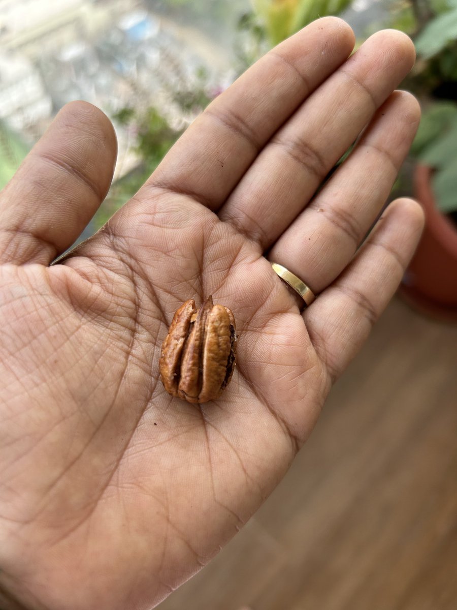 ujjwalabaxi's tweet photo. Pecan- a nut with least glycemic index amongst all the variants.
Which one do you eat the most and how many per day?
#nuts #essentialfats #mufa #goodfats #vegan https://t.co/XC06YNCMwc