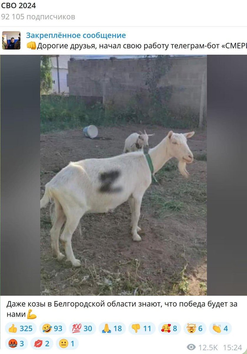 PulseOfUkraine's tweet image. 🤔🤔🤔🤔🤔🤔🤔 Вот оно как…..

#HaimComment