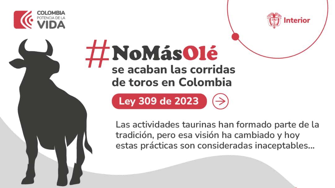 mas_usergio's tweet photo. Luego de muchos intentos se ha logrado. La prohibición de las corridas de toros es una LEY DE LA REPÚBLICA. La tortura no es un hobbie ni un deporte. #NoMasOlé ✊🏼🐂

Ahora solo falta la sanción presidencial y la aprobación por parte de la Corte Constitucional 🥳 https://t.co/8ocPb7o900