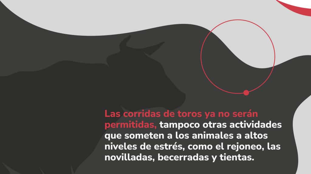 mas_usergio's tweet photo. Luego de muchos intentos se ha logrado. La prohibición de las corridas de toros es una LEY DE LA REPÚBLICA. La tortura no es un hobbie ni un deporte. #NoMasOlé ✊🏼🐂

Ahora solo falta la sanción presidencial y la aprobación por parte de la Corte Constitucional 🥳 https://t.co/8ocPb7o900