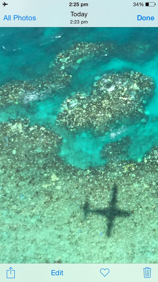 It isn’t rocket science - when 65% of the world’s coral reefs bleached in 2023/2024, the other 35% didn’t (this time). It’s hardly a good news story….