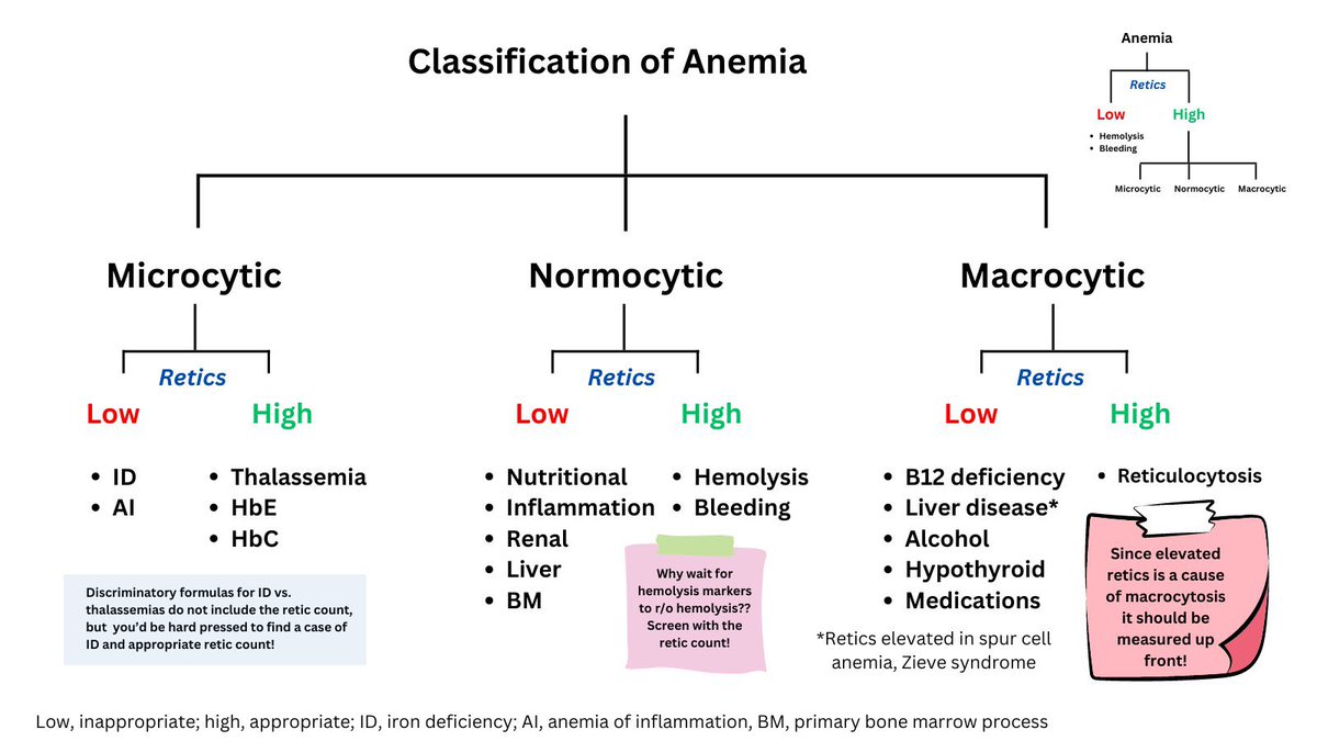 ANEMIA CLASSIFICATION #Meded #medx #anemia #Nutrition