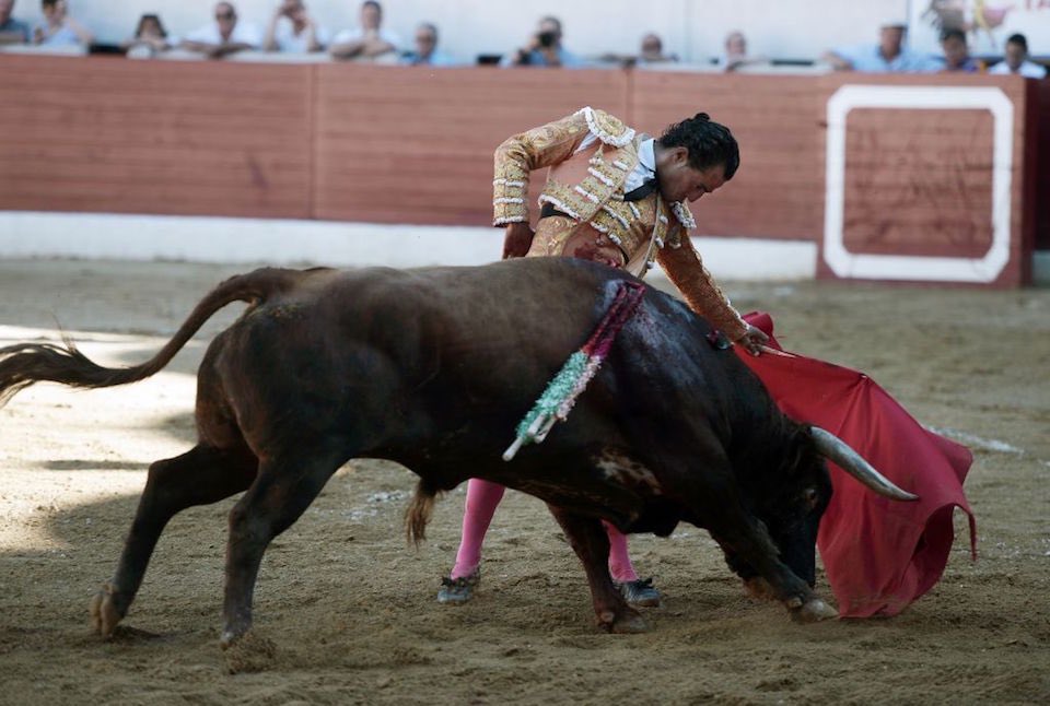 🇨🇴 | URGENTE: Aprueban en Colombia un proyecto de ley que prohíbe las corridas de toros en todo el país.
