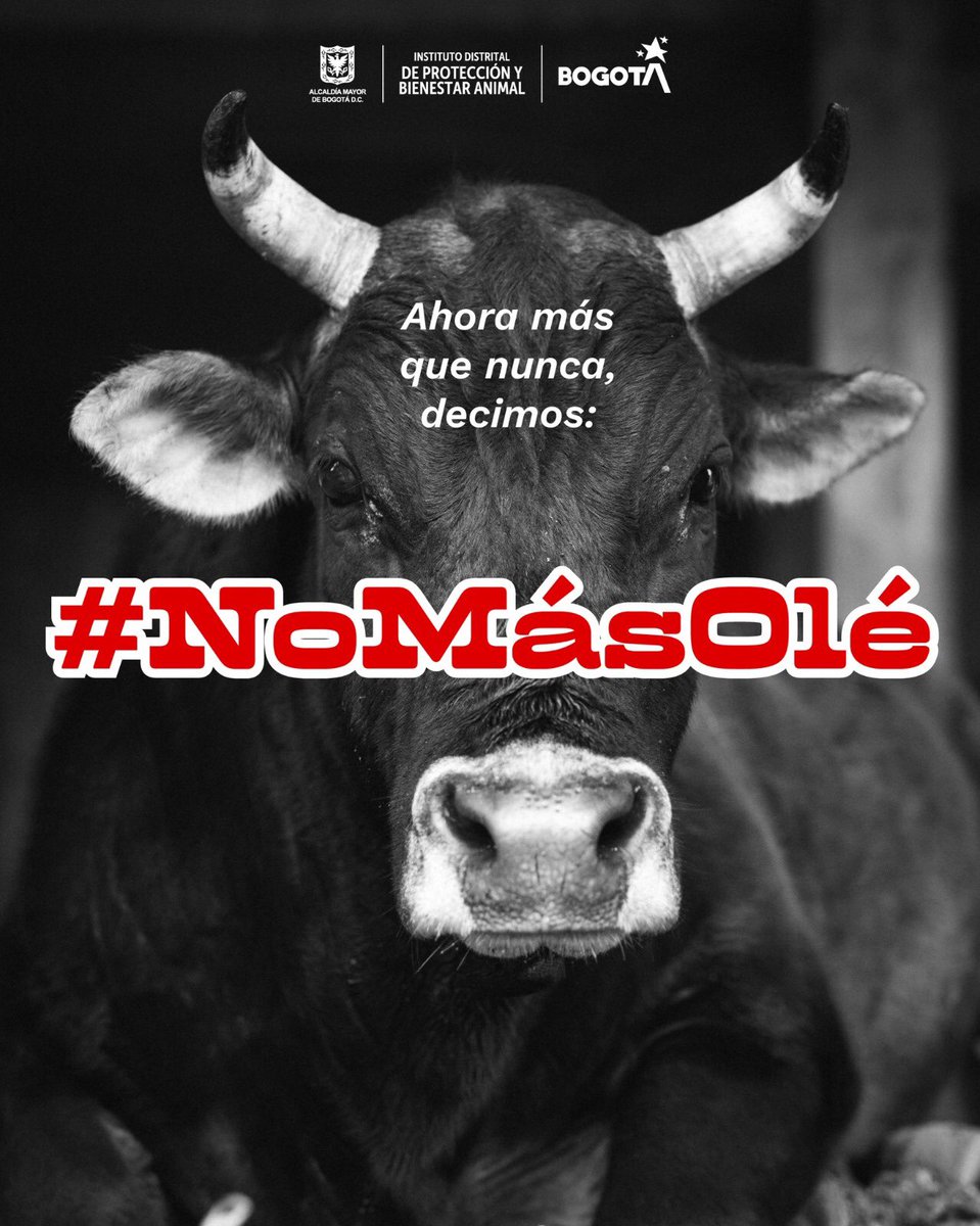 ¡Histórico!

Celebramos la aprobación del proyecto de Ley que prohíbe las corridas de toros en nuestro país.

#NoMásOlé 🚫🐂