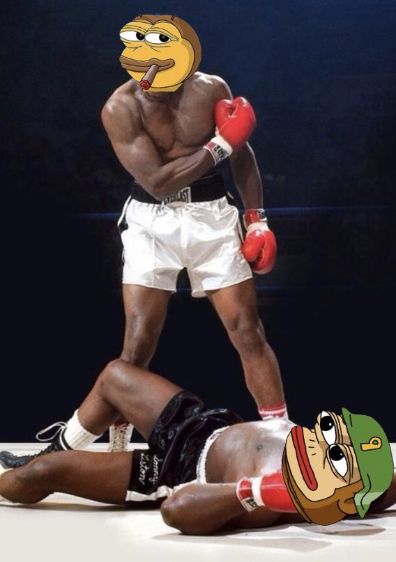 WorldwideJuss's tweet photo. “FLOAT LIKE A BUTTERFLY, STING LIKE A BEE🐝” 

$PONKE had its run.  Now the tides have turned.  

@BezoSol 
$BEZO
#BezoSol https://t.co/rbRU0fU63z