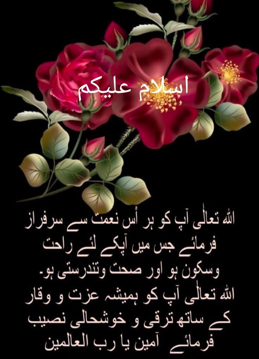 Aslam o alikum 

Kysy h x family 

Good morning 

Happy Wednesday