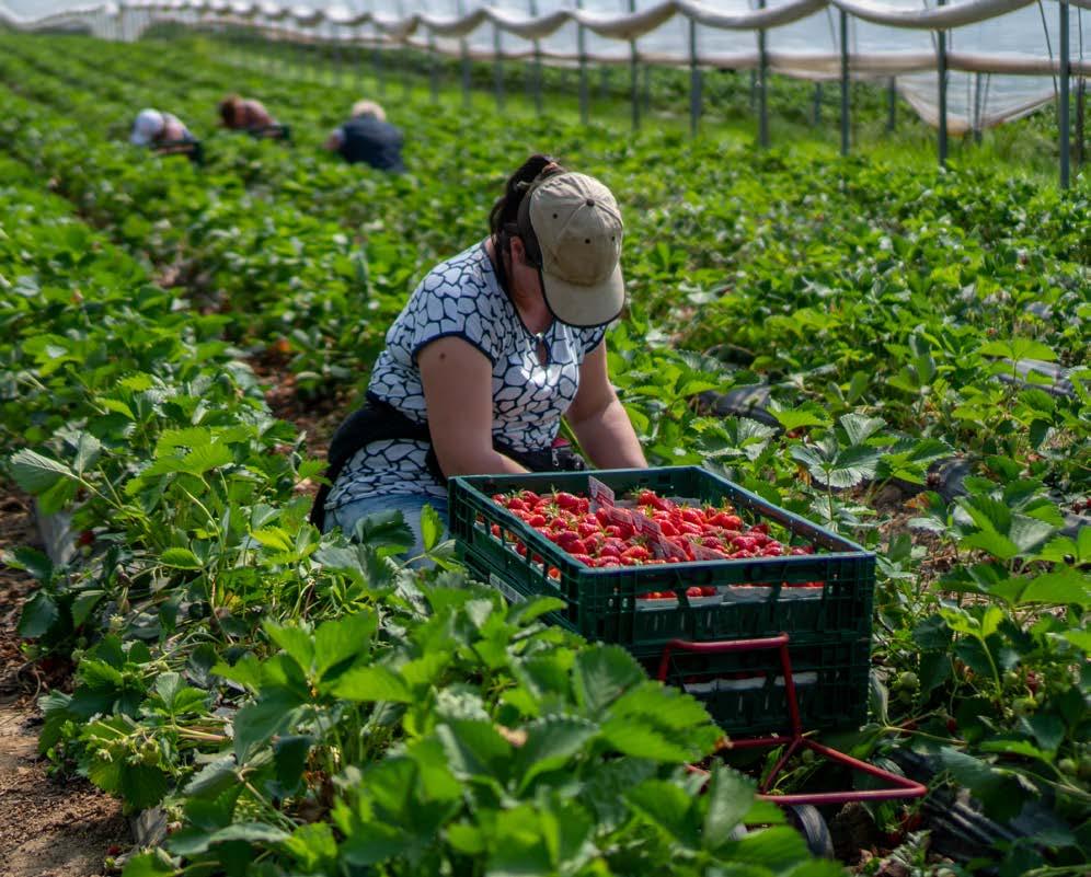 Civil society and unions welcome the Albanese Government's establishment of an Anti-Slavery Commissioner, but say it will need stronger powers and resourcing to do its job effectively. 

Read more here: hrlc.org.au/news/2024/05/2… <a href="/humanrightsHRLC/">Human Rights Law Centre</a>