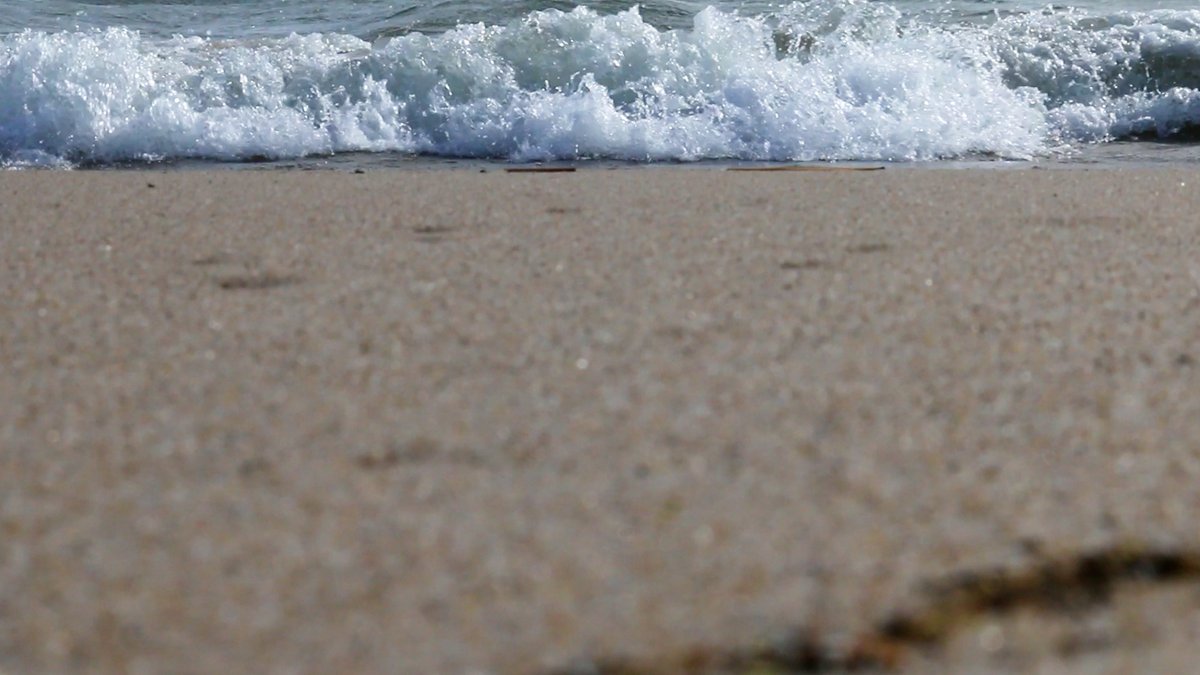 When editing my most recent video I came across this frame that I thought was cool 🌊
#LakeHuron #michigan #canoncamera #videographers