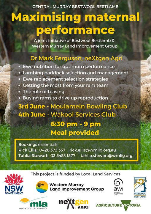 Moulamein and Wakool Sheep Nights 
#maximisingmaternalperformance #ewenutrition #buyingrams #nextgenagri #drmarkferguson