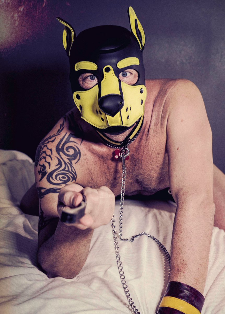badpupash's tweet photo. One Magical Weekend is fast approaching.
I'm looking for male content creators to collaborate a few scenes.
I have a hotel on I-Drive, Friday, May 31-June 2.
(2257 Required) Message me for info. Serious Only please. #orlando #OMW #OMW2024 #1MagicalWeekend #gaydaysorlando https://t.co/9xzQLQaulu