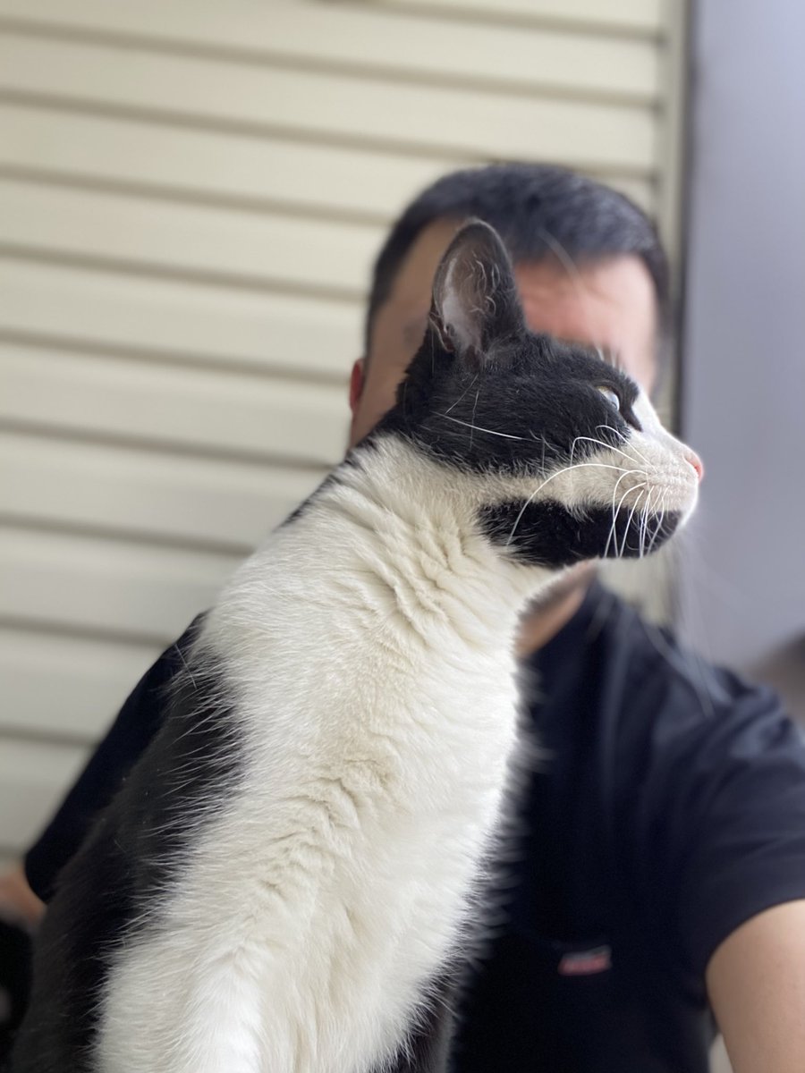 Tom368's tweet image. ❤️❤️❤️