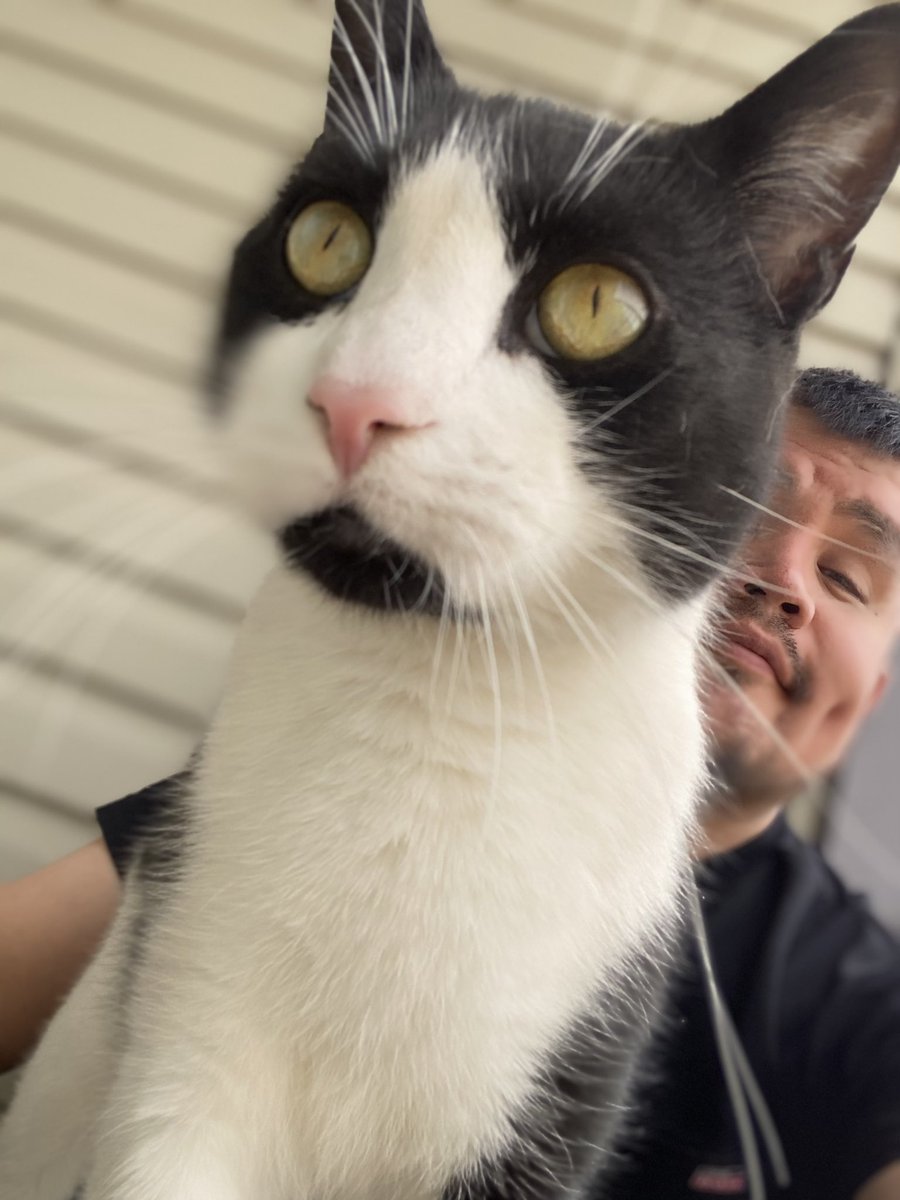 Tom368's tweet image. ❤️❤️❤️