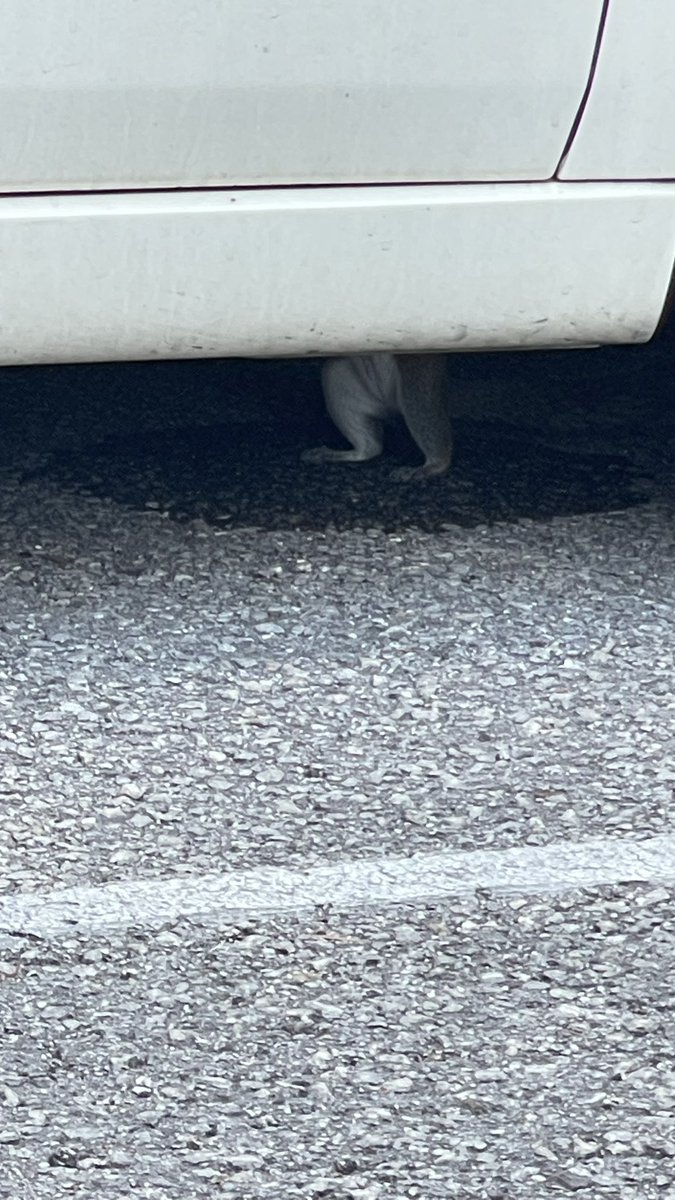 lil dude repairing this car