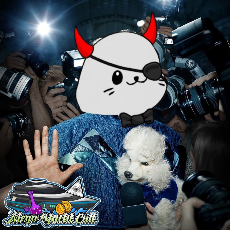 MYC_NETWORK's tweet photo. #MYC is casually scaling while everyone is feeling blue https://t.co/zaIS1E0i8y