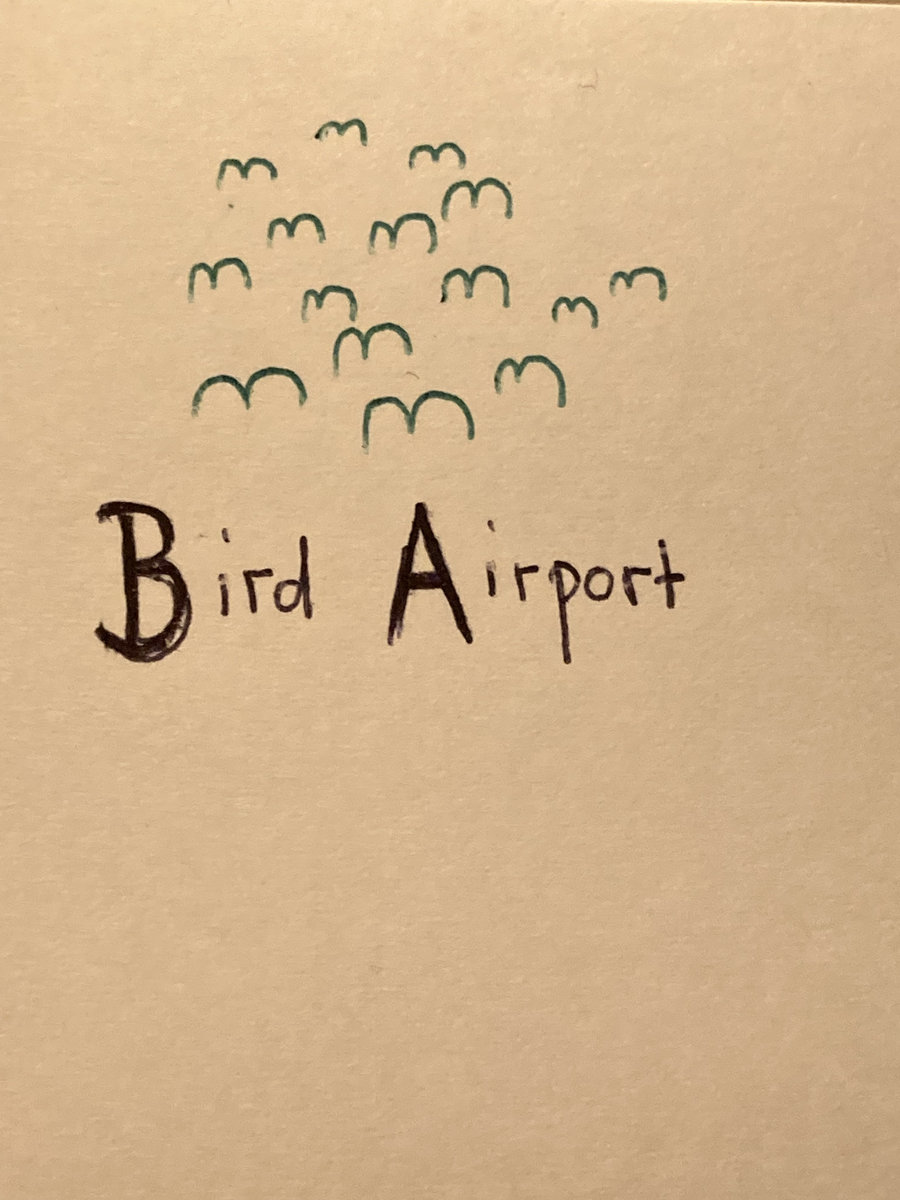 Bird AirportはEP 'Magnolia Falls'をリリースしました birdairport.bandcamp.com/album/magnolia…