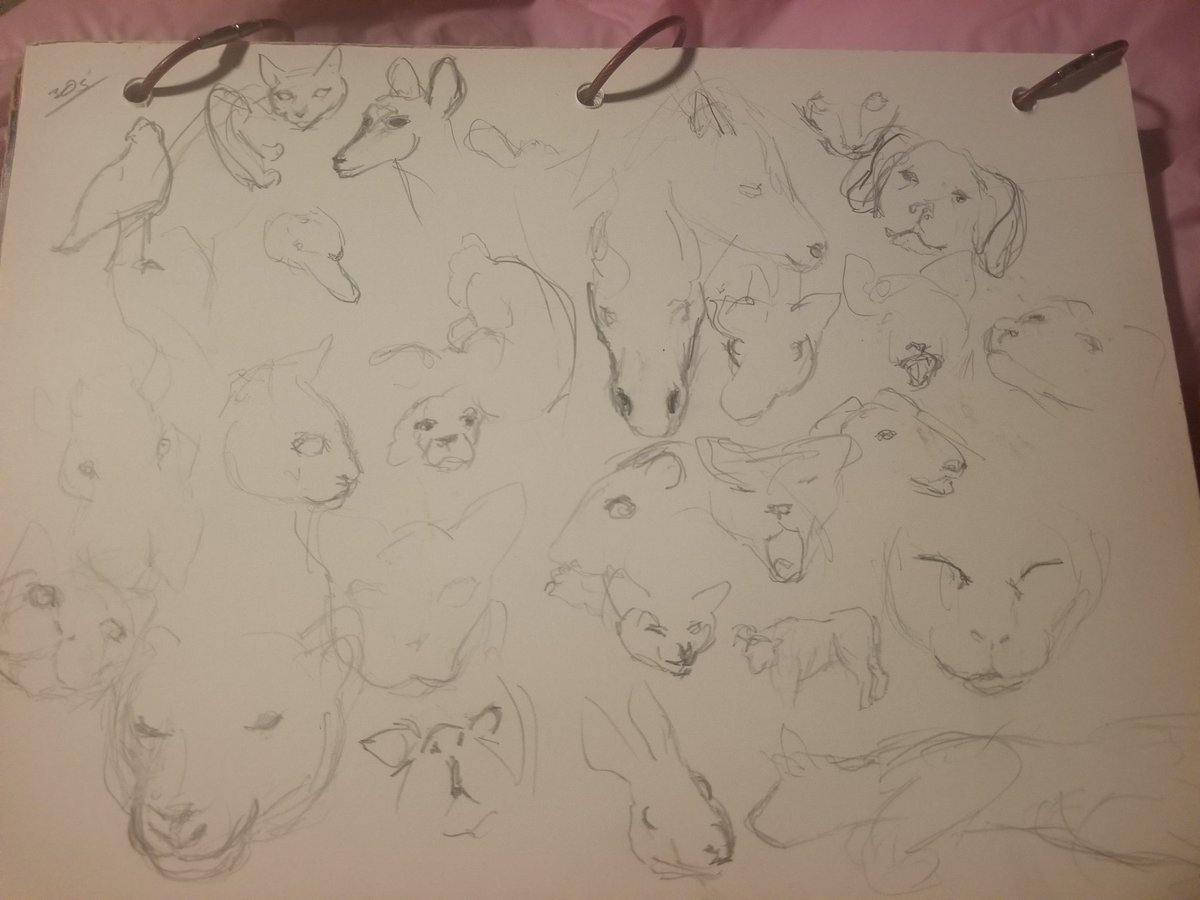 questwithac's tweet image. bsky.app/profile/sapien…

Gonna try to be more active with art and such here and on bsky! 
Some 30s animals and 60s human gesture sketches. 
#sketches
#drawing