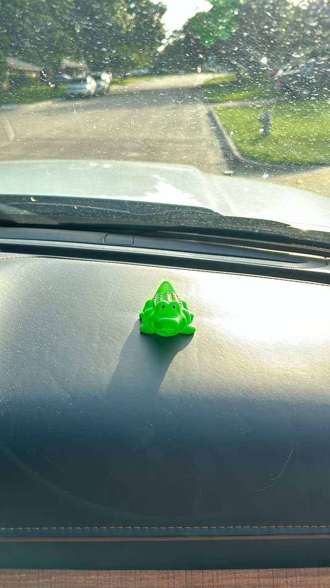 Remy McLaughlin tweet media