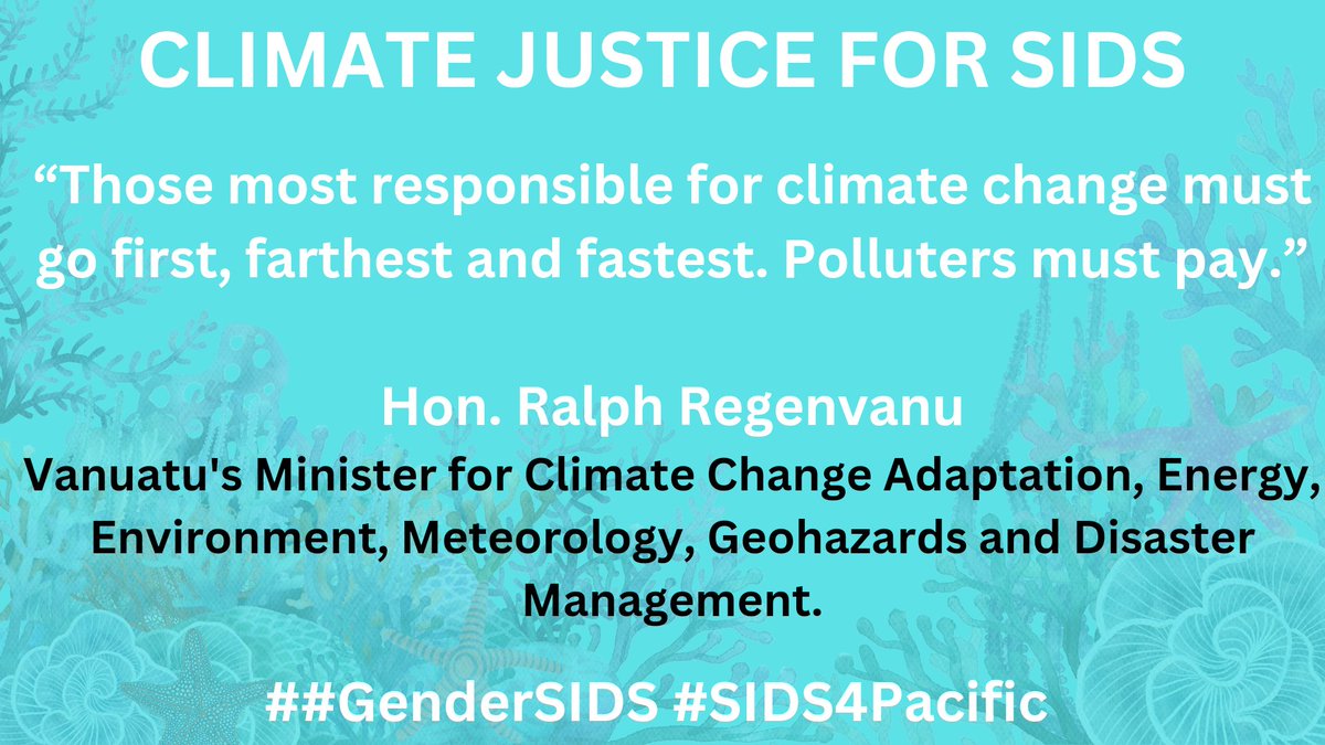 #SIDS4Pacific 2024 latest scientific estimates reveals an exceptionally rapid loss of biodiversity – 100+ times over the extinction background rate and indicating that a sixth mass extinction is already underway. Read #WomensMajorGroup Statement here: divafiji.org/statement-of-t…