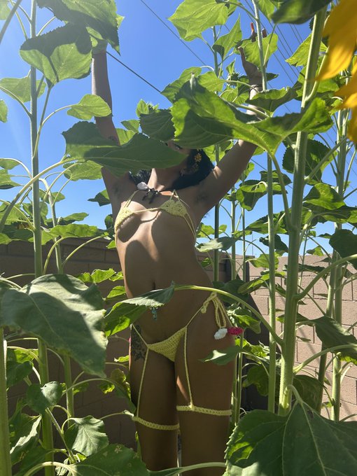 Dancing in sunflowers 🌻🧚🏽&zwj;♂️☀️ https://t.co/GDkH8AV46H https://t.co/TOkfekWCmq<a href="/tag/porn"class="tags"><span>#porn</span></a><a href="/tag/gardening"class="tags"><span>#gardening</span></a><a href="/tag/onlyfans"class="tags"><span>#onlyfans</span></a>